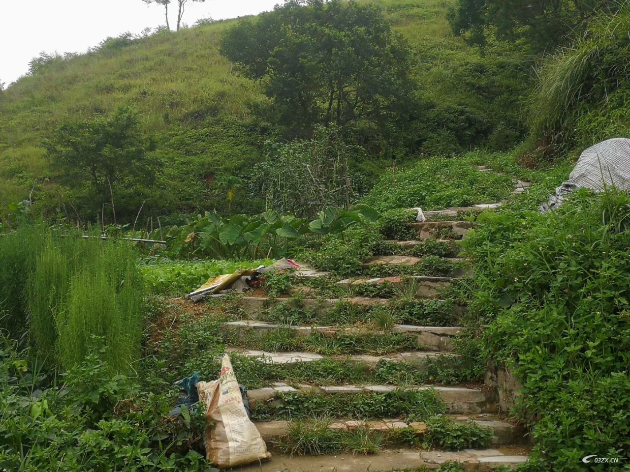 灵城附近那里有好一点的山泉水