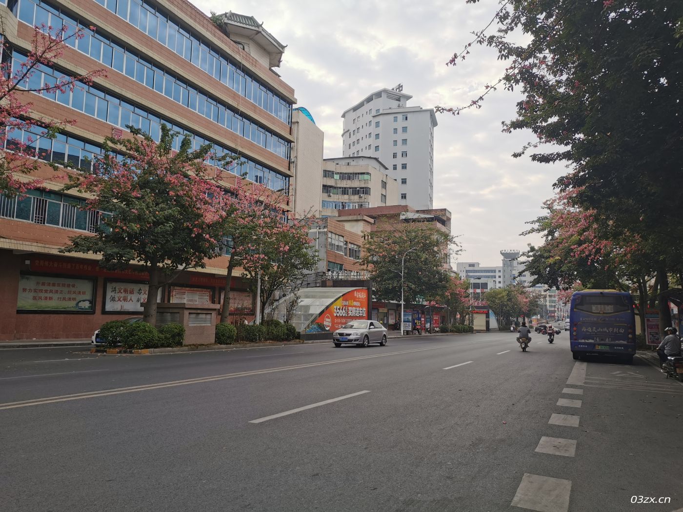 今日灵山、燕山路，树木枝头挂满鲜花。